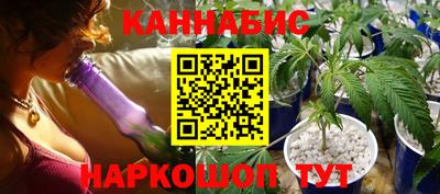 стафф Славгород