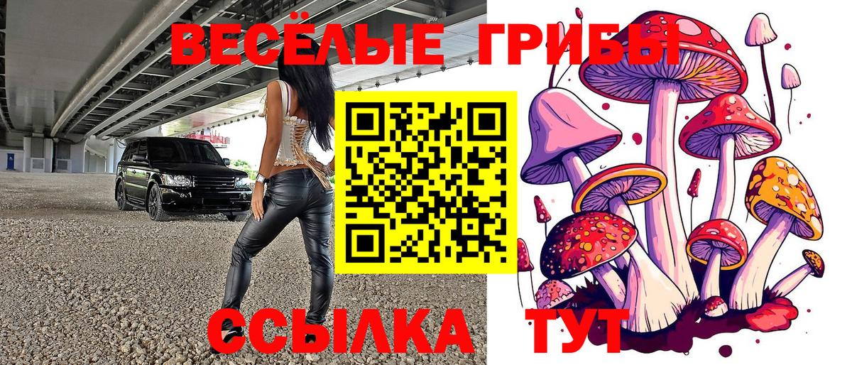 Псилоцибиновые грибы мицелий  Вход с VPN  Родники  Псилоцибиновые грибы Magic Shrooms 