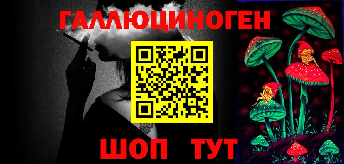 Псилоцибиновые грибы Psilocybe Родники