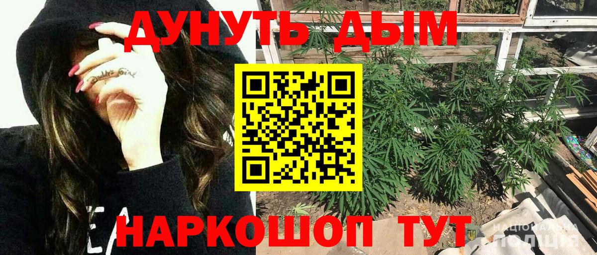 Шишки марихуана планчик Родники